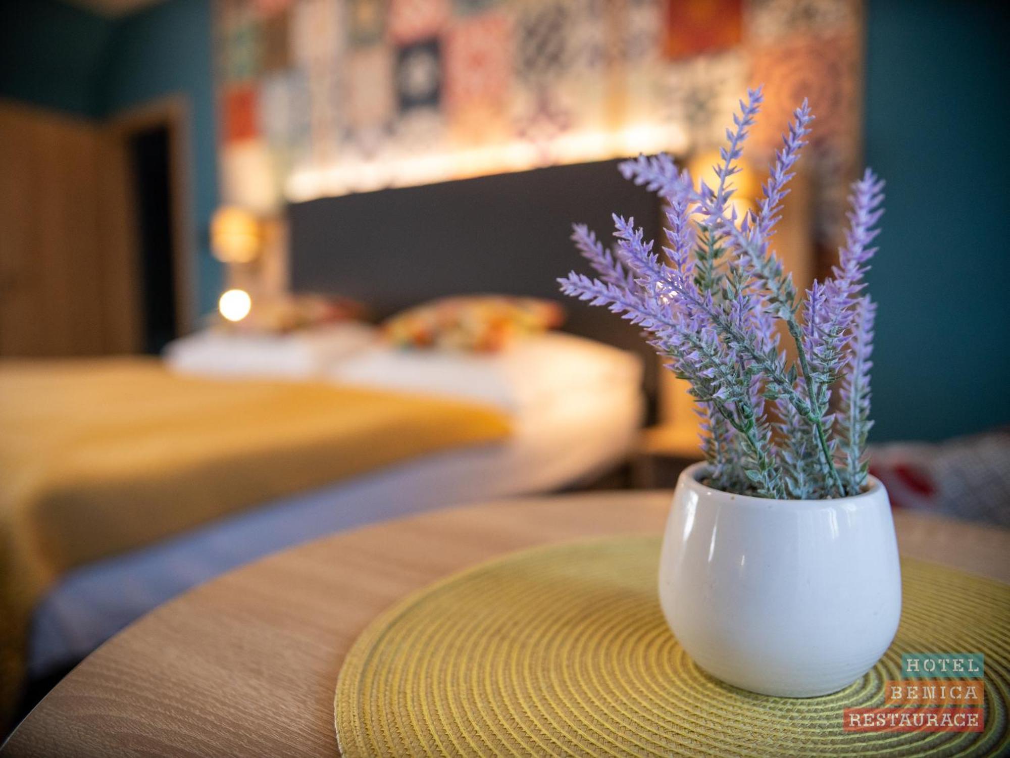 Hotel Benica Benesov  Εξωτερικό φωτογραφία